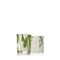 Frasier Fir Pine Needle Votive Candle - Scented Candle with Notes of Siberian Fir, Cedarwood, and Sandalwood - Holiday Candle with a Luxury Home Fragrance (2 oz)